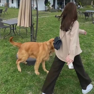 妈妈劫