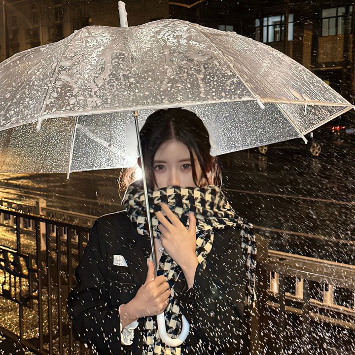 我的天才女友第二季